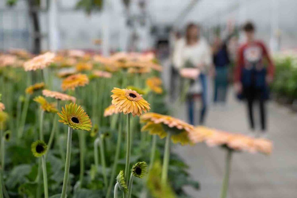 Kom in de Kas 2025, de toekomst van bloemen en planten