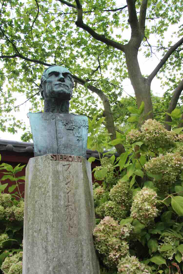 De schoonheid en medicinale werking van Japanse planten