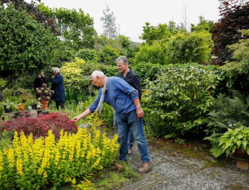 Open Tuinenweekend 2025: 21 en 22 juni 2025