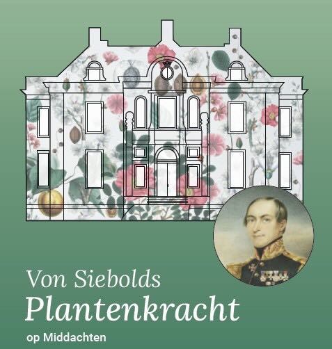 De schoonheid en medicinale werking van Japanse planten