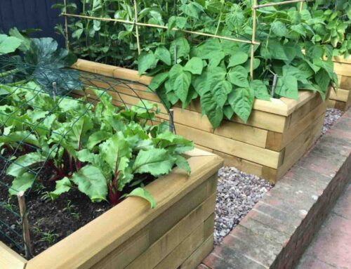 Waarom planten en gewassen goed gedijen in een moestuinbak