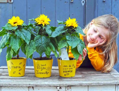 Moeders blij met bloemen: moederdag 2025