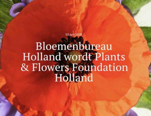 BBH wordt Plants & Flowers Foundation Holland