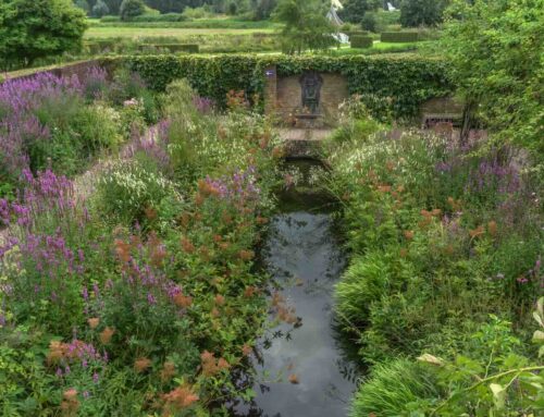 Bloemenpark Appeltern, het beste uit twee werelden