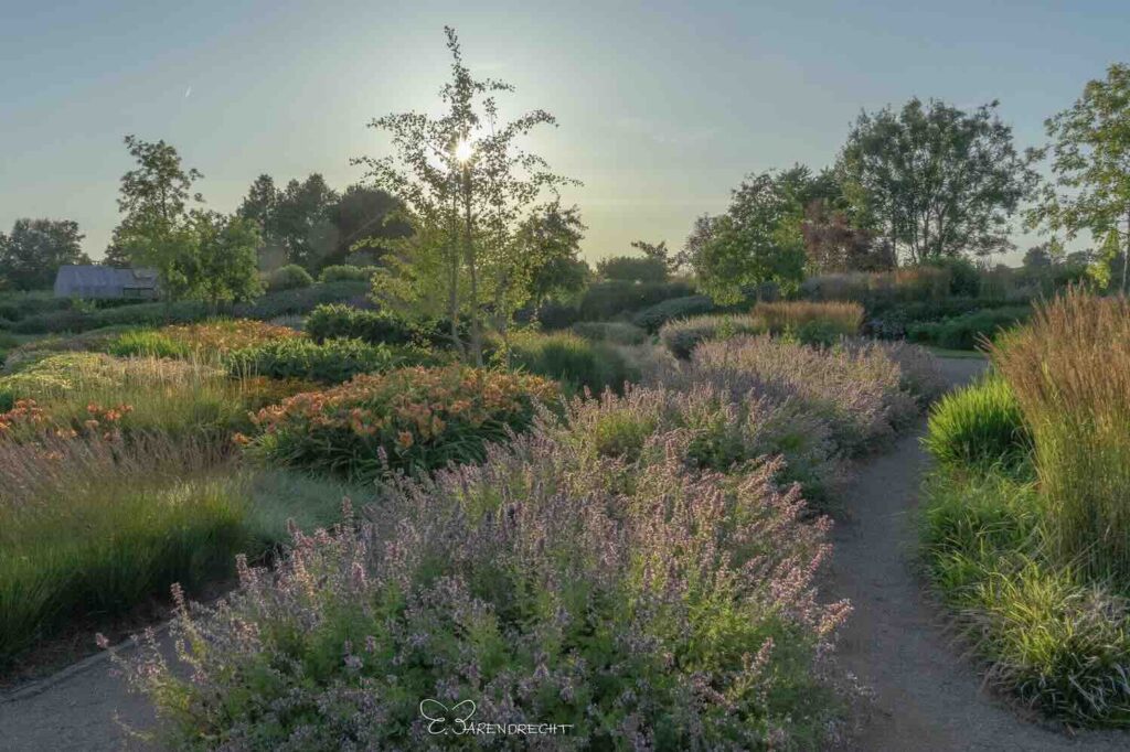 Bloemenpark Appeltern, het beste uit twee werelden