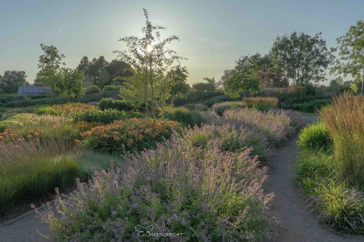 Bloemenpark Appeltern, het beste uit twee werelden