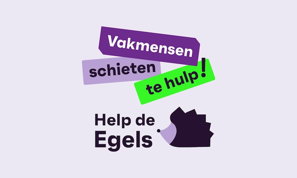 Vakmensen slaan handen ineen om de egel te helpen
