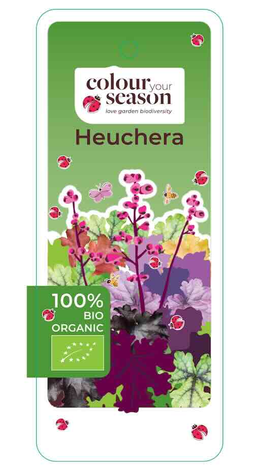 Colour your Seaosn – Heuchera 100% bio etiket – Colour your Season – Heuchera etiket 100% bio 100% biologische Heuchera, een duurzame primeur