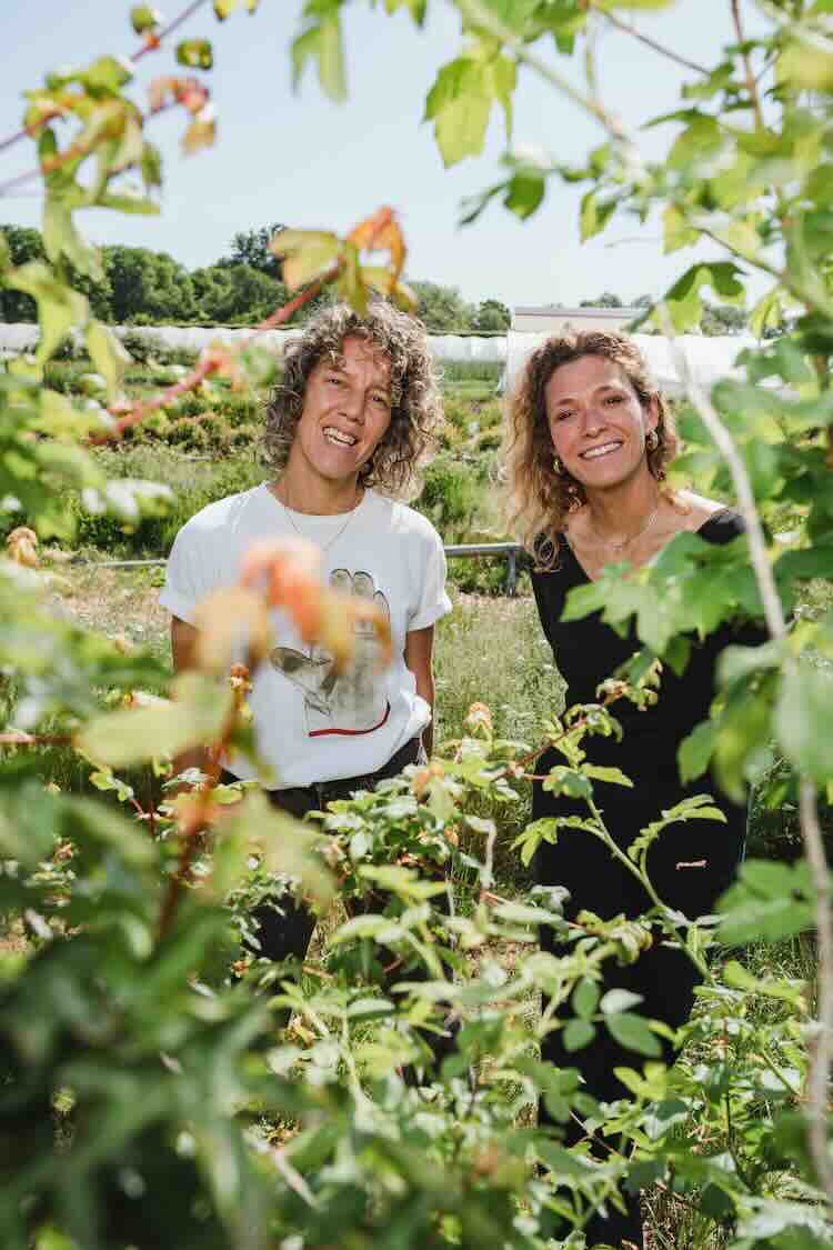 Wilderful Collectief maakt biologische bloemen kopen makkelijker