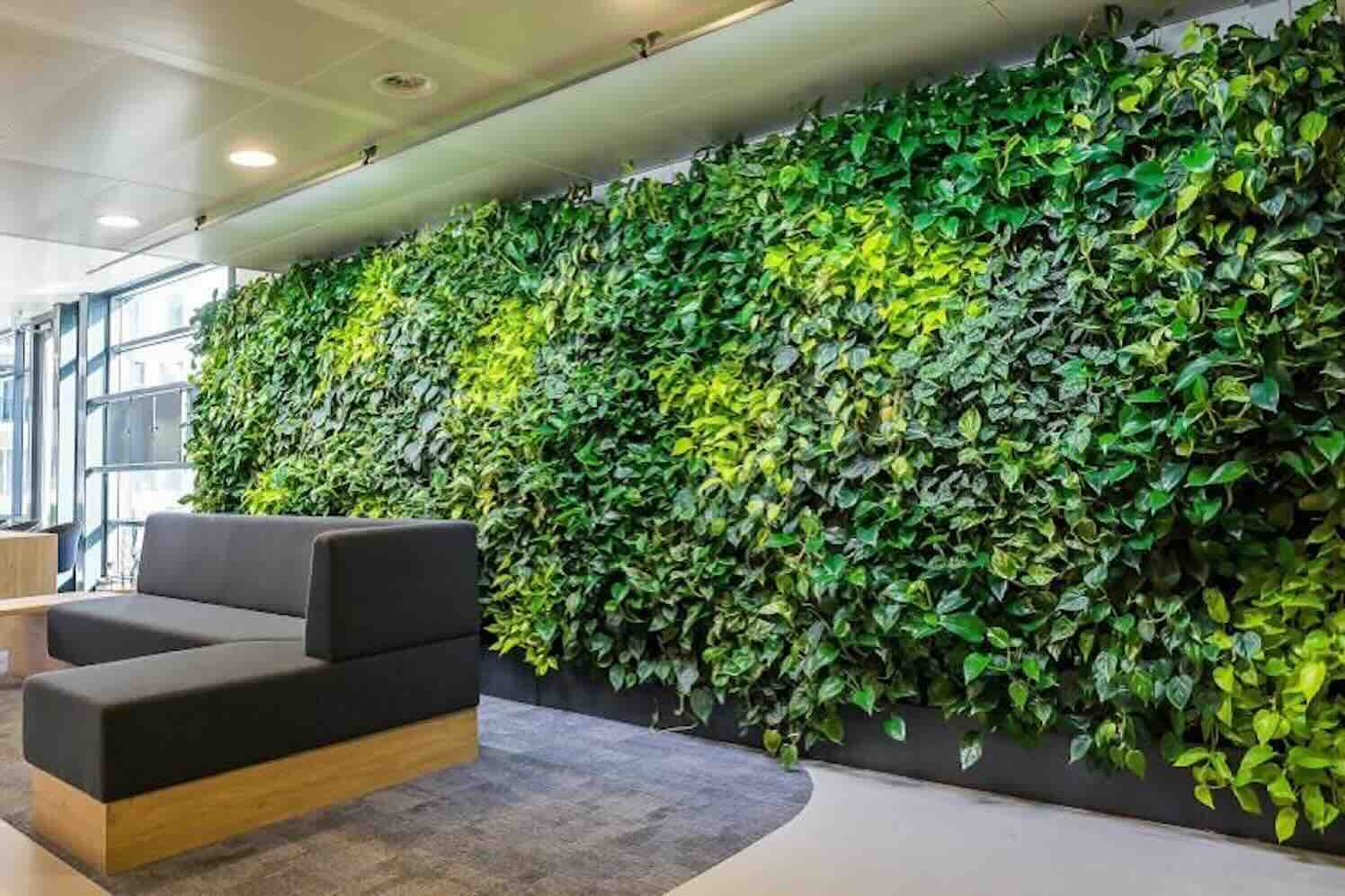 Groene wanden zijn duurzame blikvangers voor elke binnenruimte