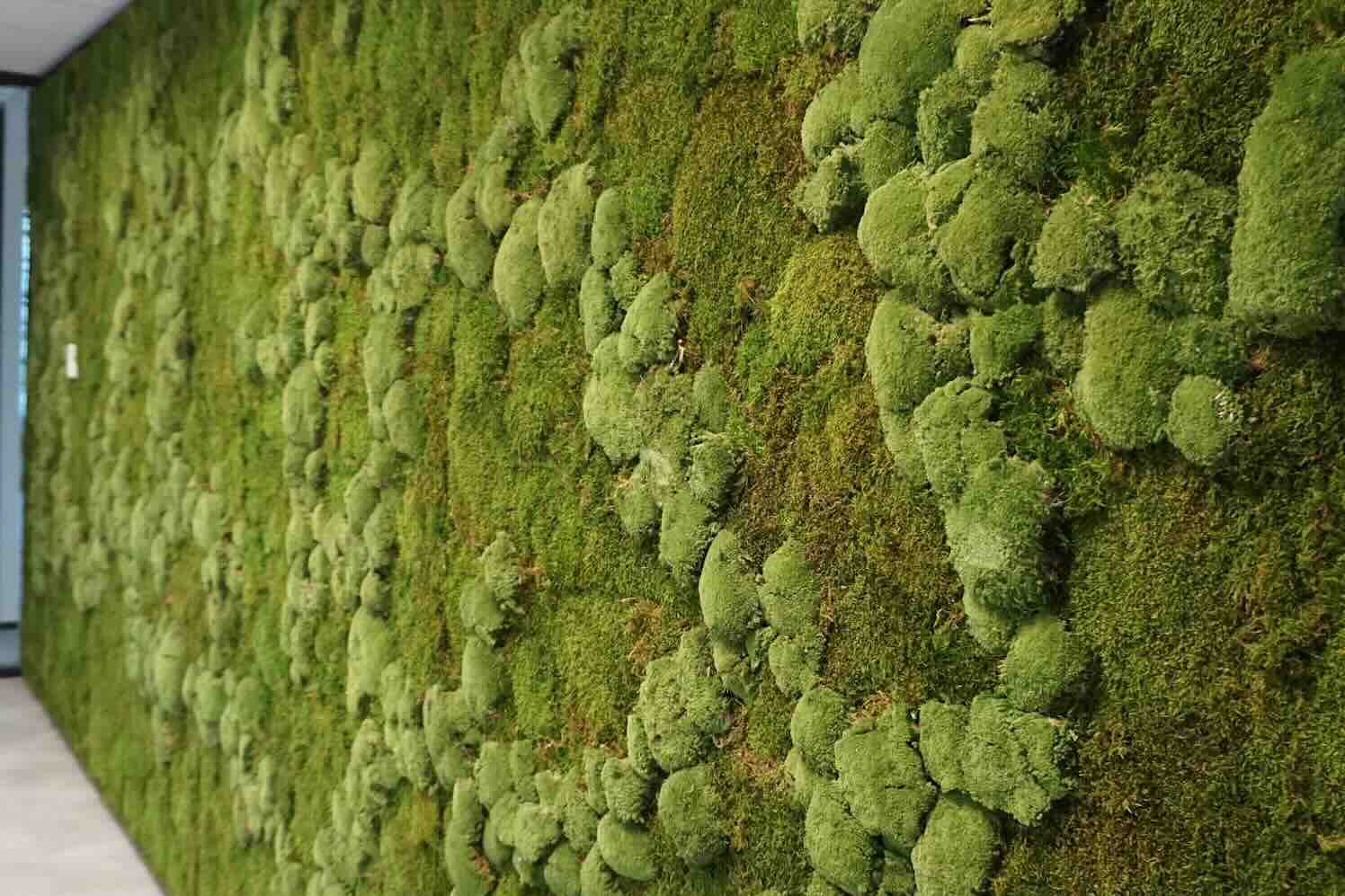 Groene wanden zijn duurzame blikvangers voor elke binnenruimte