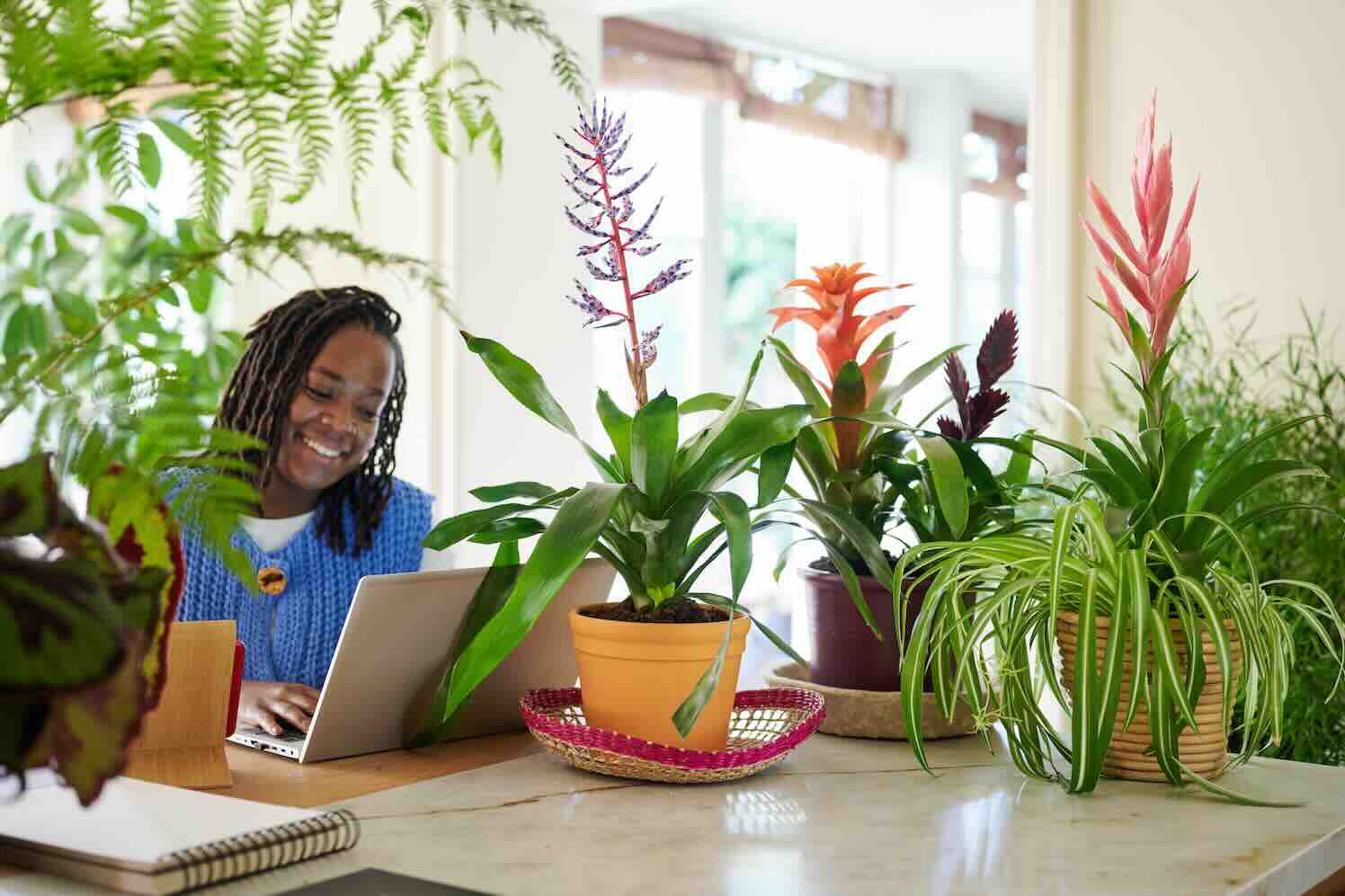 De prettige invloed van bloemen en planten op ons dagelijks leven