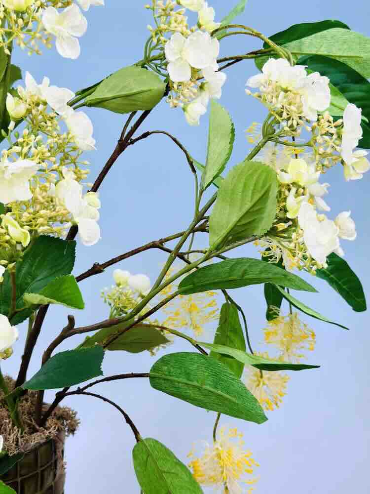 Meer mensen kiezen voor zijden bloemen en planten in huis