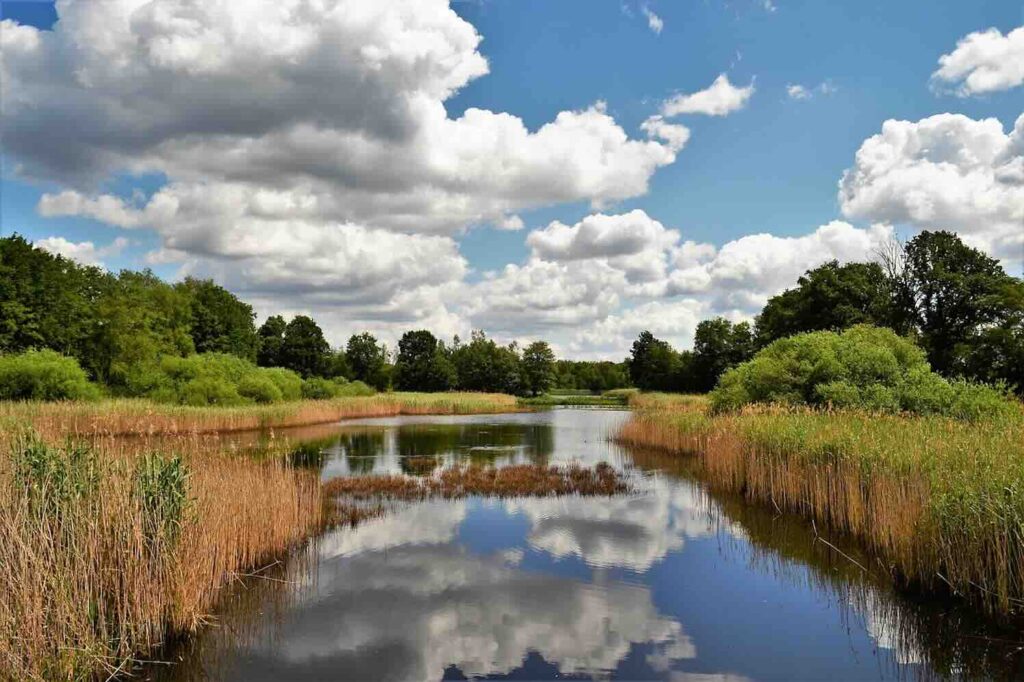 Natuur prominent tijdens Maand van de Geschiedenis 2025