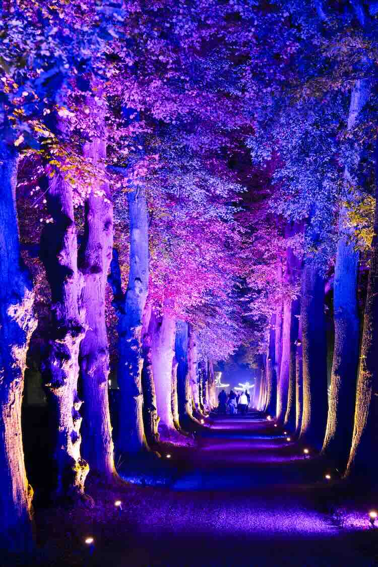arcen-verlicht-01 Enchanted Gardens 2025 in Kasteeltuinen Arcen van start