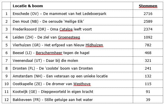 Enschedese Mammoetboom Boom van het Jaar 2025!