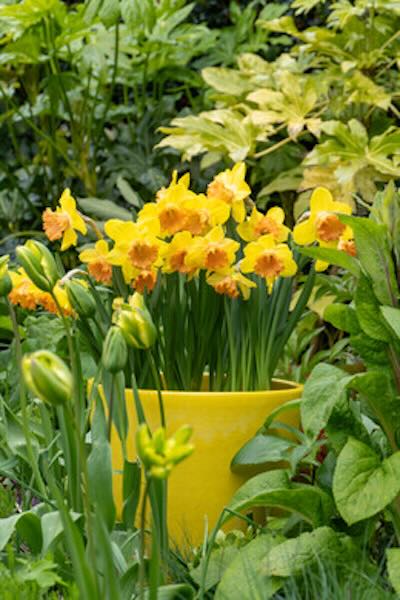 Trend 2025_Unique Utopia_Outdoor lente