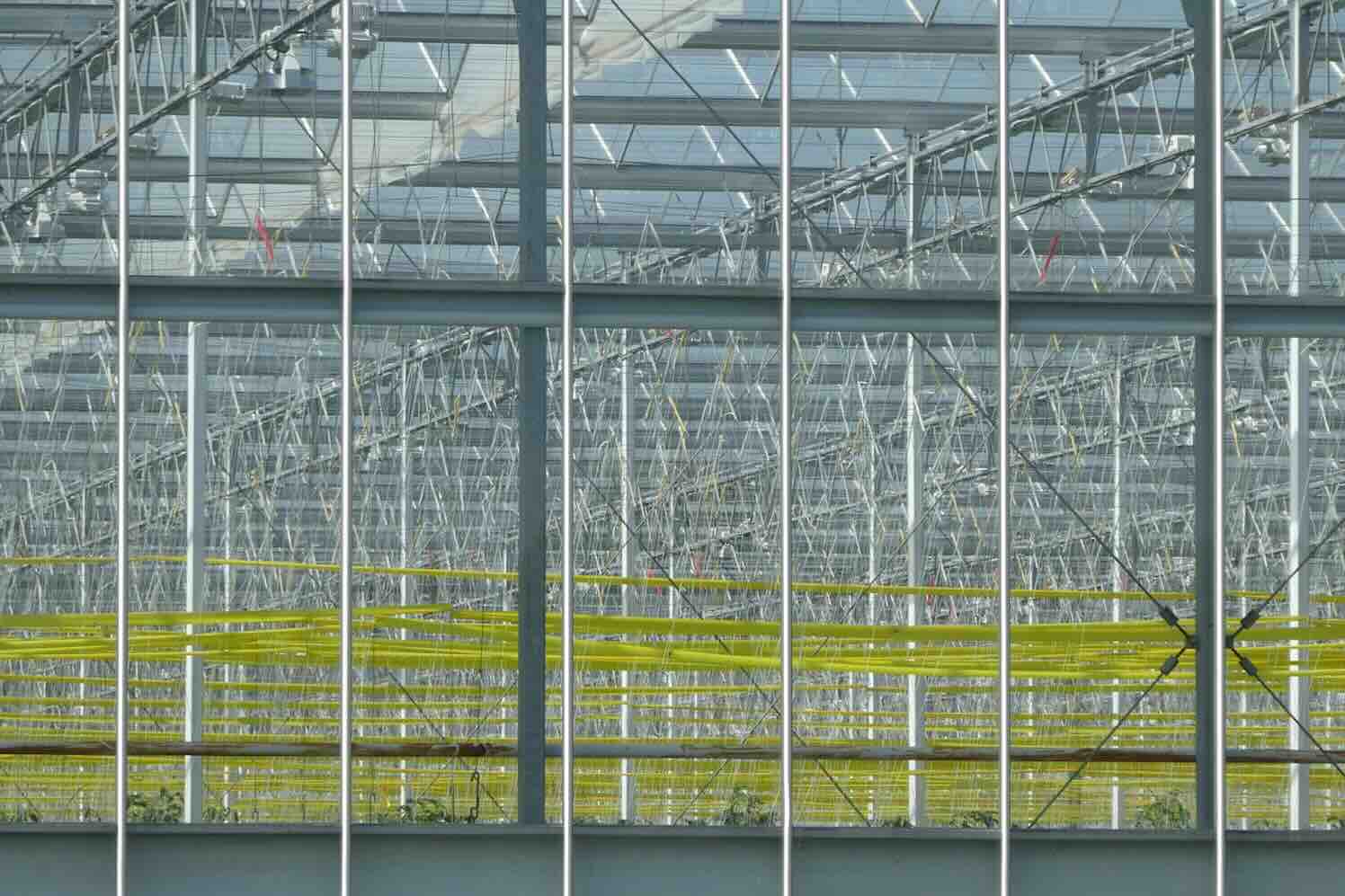 Hoe Nieuwkoop de groensector meet voor groei en kwaliteit