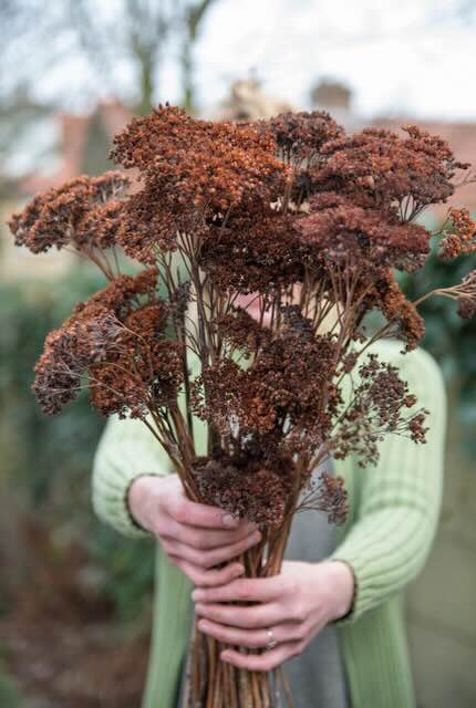 De wintertuin: mooi in koude maanden