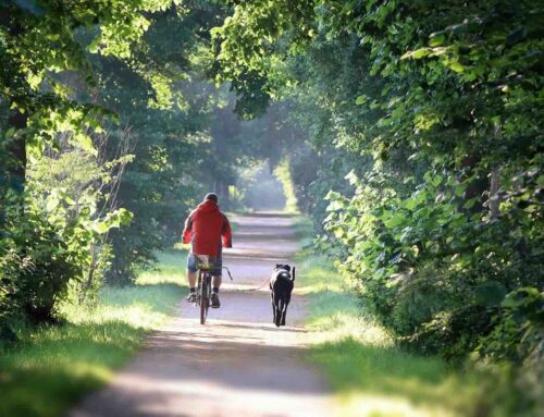 Hoe de e-bike je groene levensstijl verrijkt
