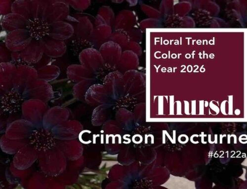 Crimson Nocturne, de floral trend color van 2026