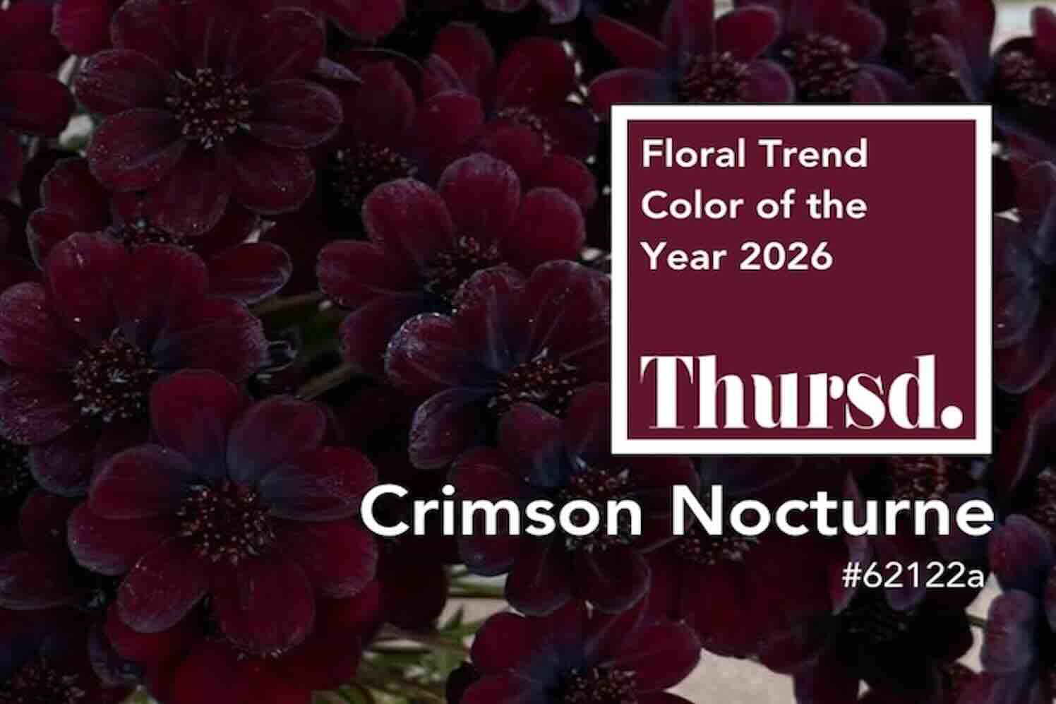 Crimson Nocturne, de floral trend color van 2026