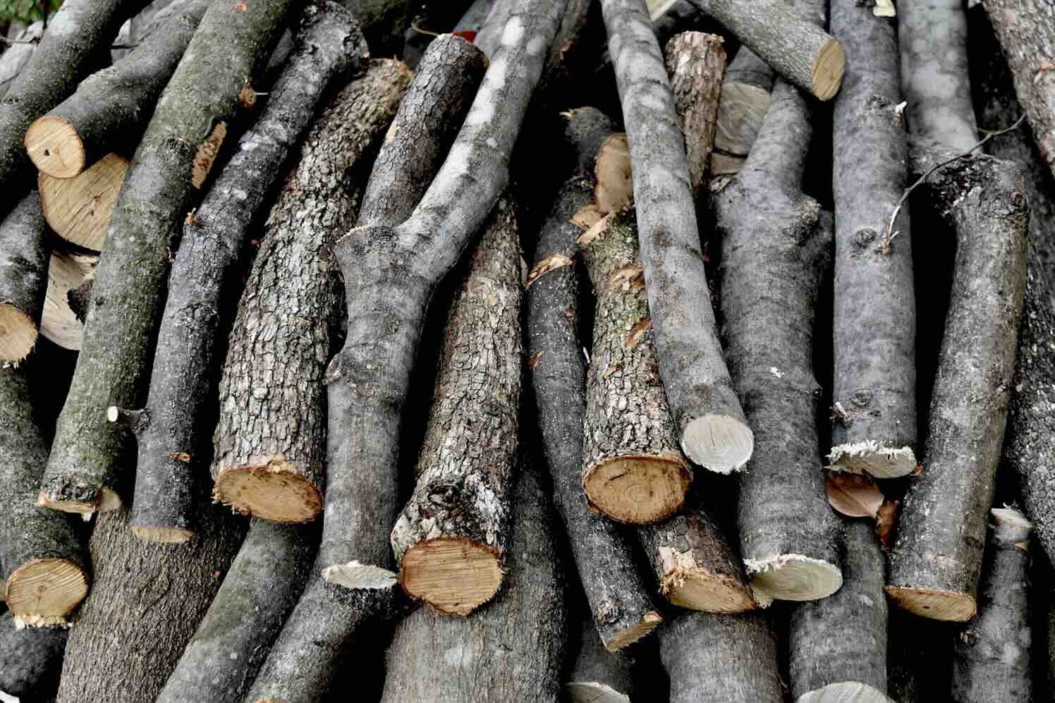 deforestation-zaag-snoei Essentiële veiligheidsmaatregelen voor werken met kettingzaag