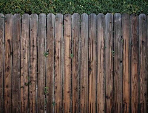 Schuur je tuin, verwijder mos en algen, maak alles winterklaar