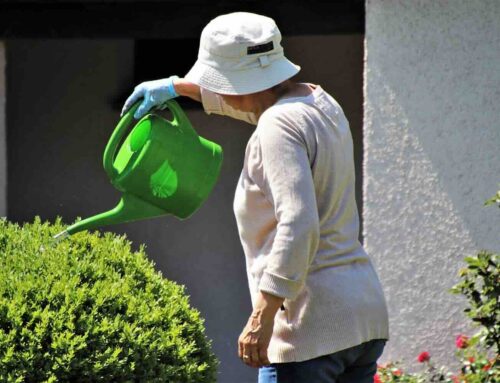 De rol van waterkwaliteit in een bloeiende tuin