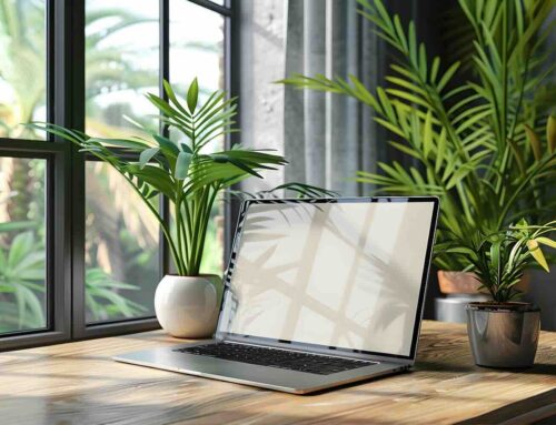 Groen werkt, interieurbeplanting op kantoor doet meer dan je denkt