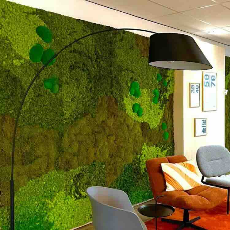 moswand Groen werkt, interieurbeplanting op kantoor doet meer dan je denkt