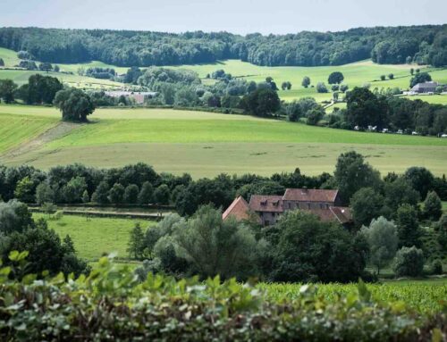 De paden op, de heuvels in