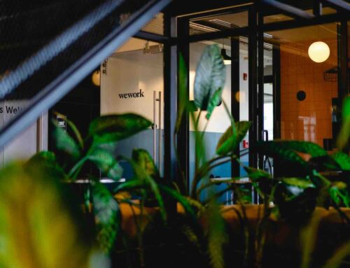 Groen kantoor: duurzame kantoorinrichting, gezonde werkplek