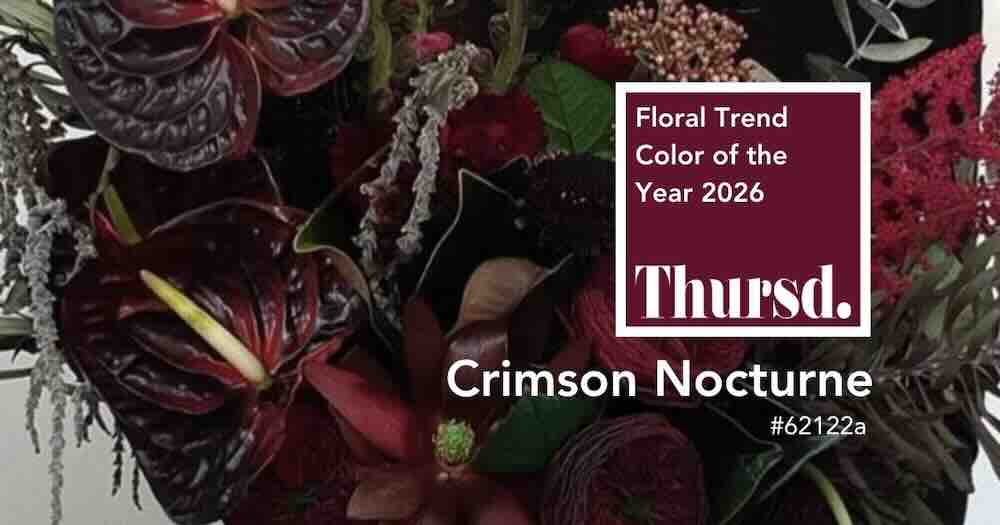 Thursd Floral Trend Color of the Year 2026 Crimson Nocturne – 3 kleur van 2026