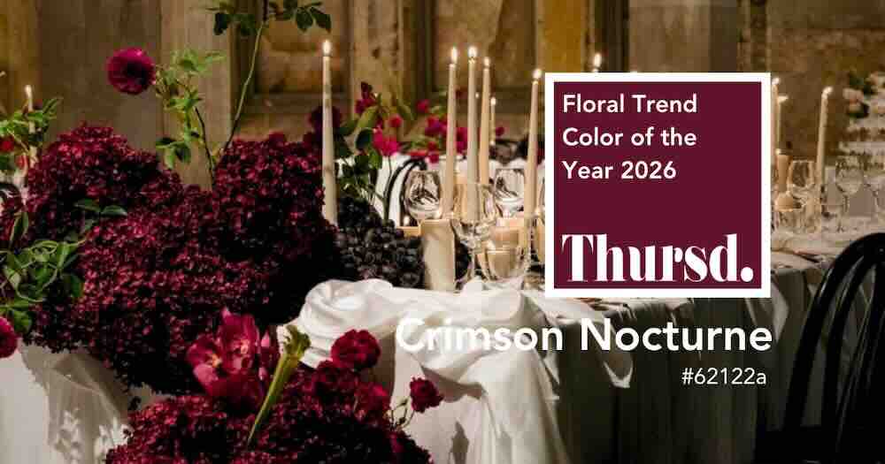 Thursd Floral Trend Color of the Year 2026 Crimson Nocturne – 6 kleur van 2026
