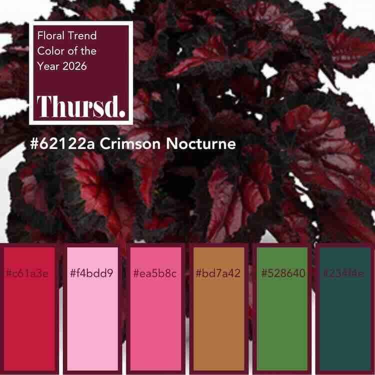 Thursd Floral Trend Color and Palette 2026 – 18 Crimson Nocturne, de floral trend color van 2026