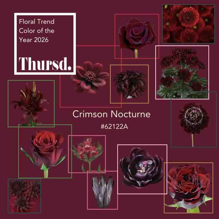 trendkleur Crimson Nocturne, de floral trend color van 2026