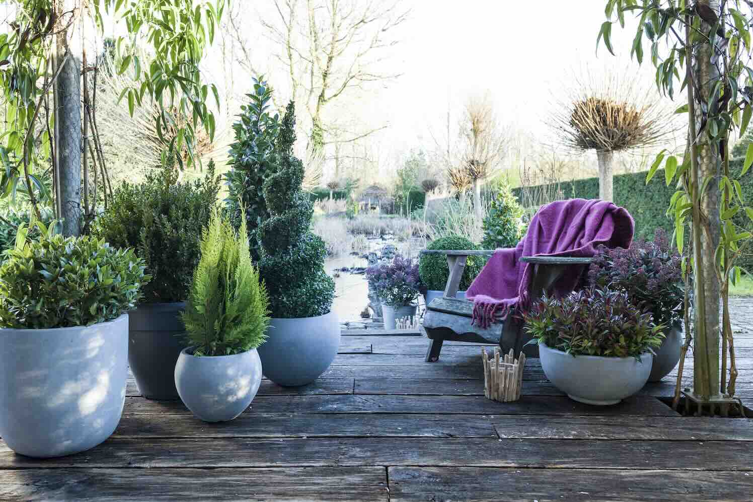 de gezellige wintertuin