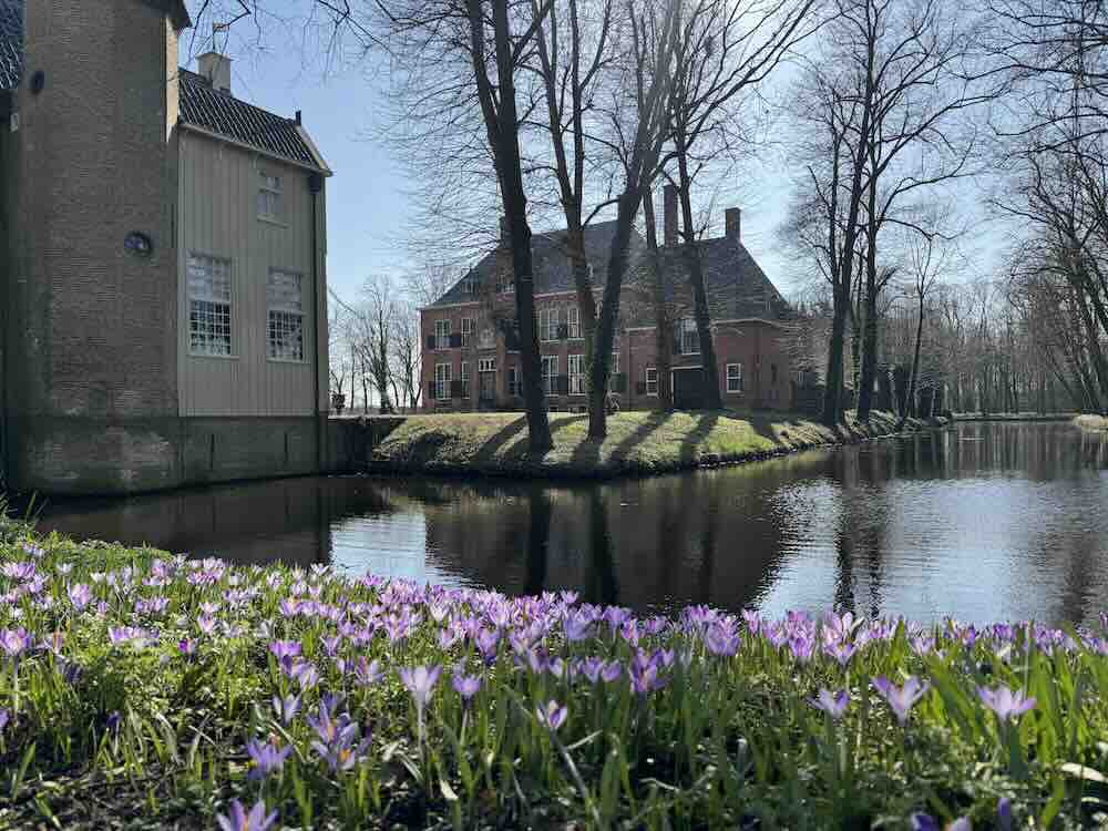 Stinzenfloraseizoen 2026: ‘Stinzenplanten als erfgoed’ 