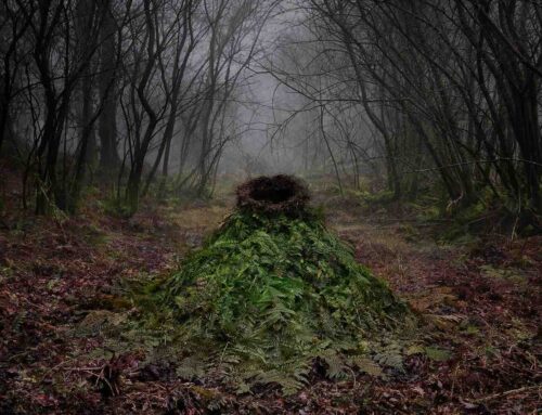 In het Bosch, een expositie in Galerie van Blijkshof Deventer
