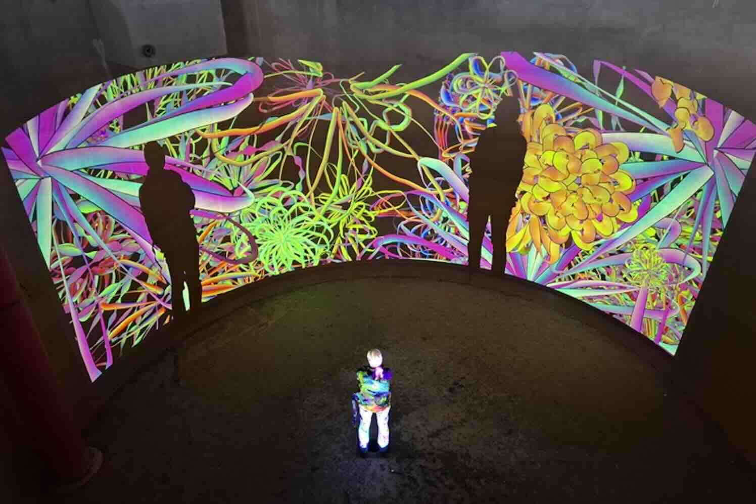 Flower Power brengt kunst en licht naar Aalsmeerse watertoren