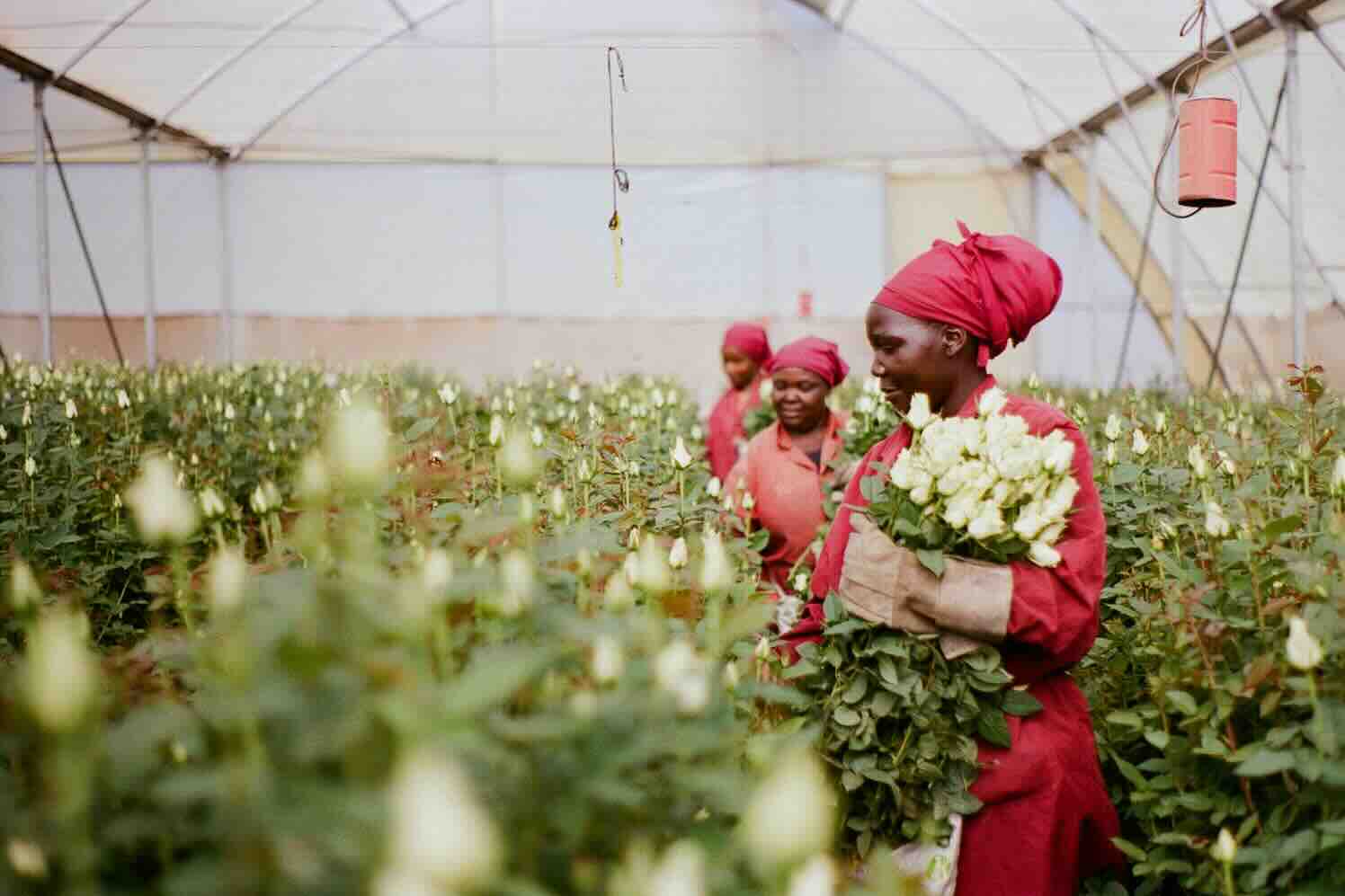 Met oog voor mens, planeet en toekomst