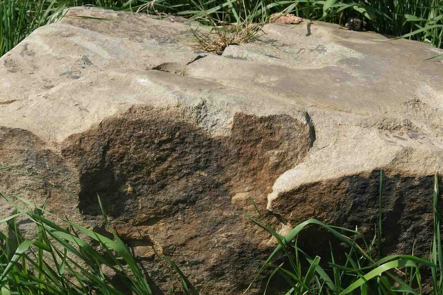 boulders-zwerfkei Waarom een zwerfkei jouw tuin tot leven brengt