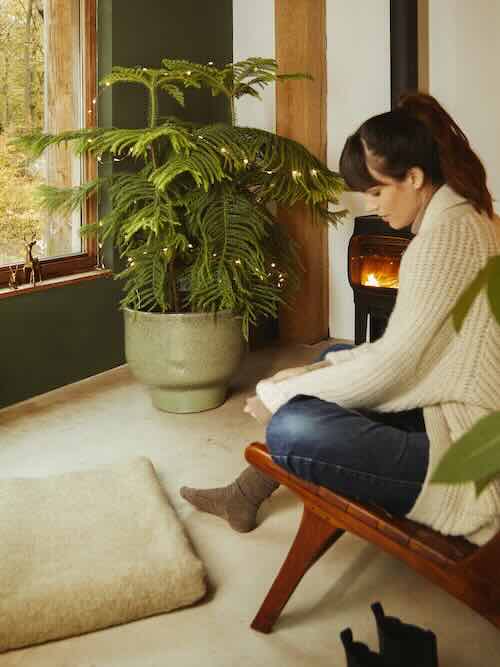 alternatieve kerstboom