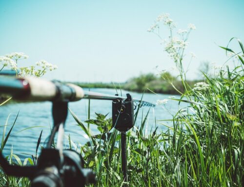 Vissen van levensonderhoud naar professionele hobby