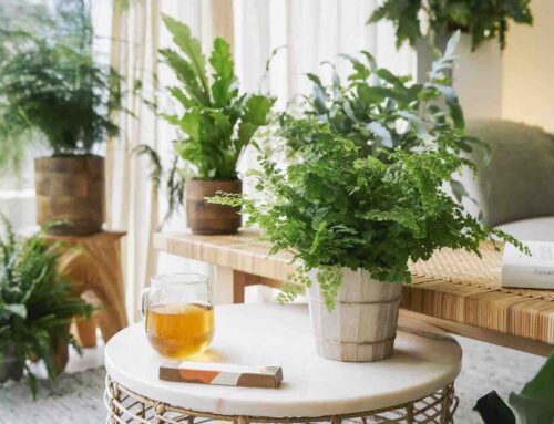 Wij wensen u een heel groen 2026