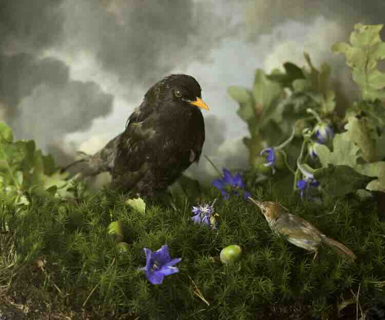 In het Bosch, een expositie in Galerie van Blijkshof Deventer