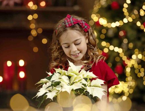 Het is weer sterrenfeest