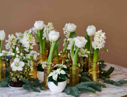 Een witte Kerst, het kan wel!