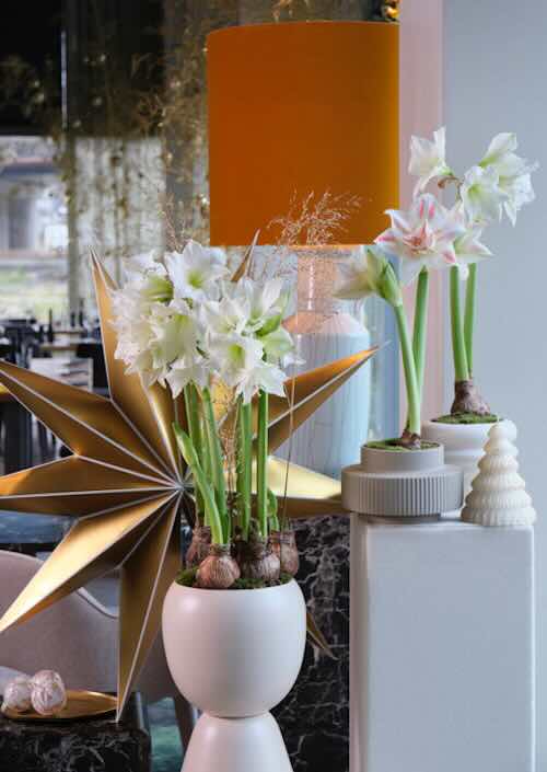 Een witte Kerst, het kan wel!